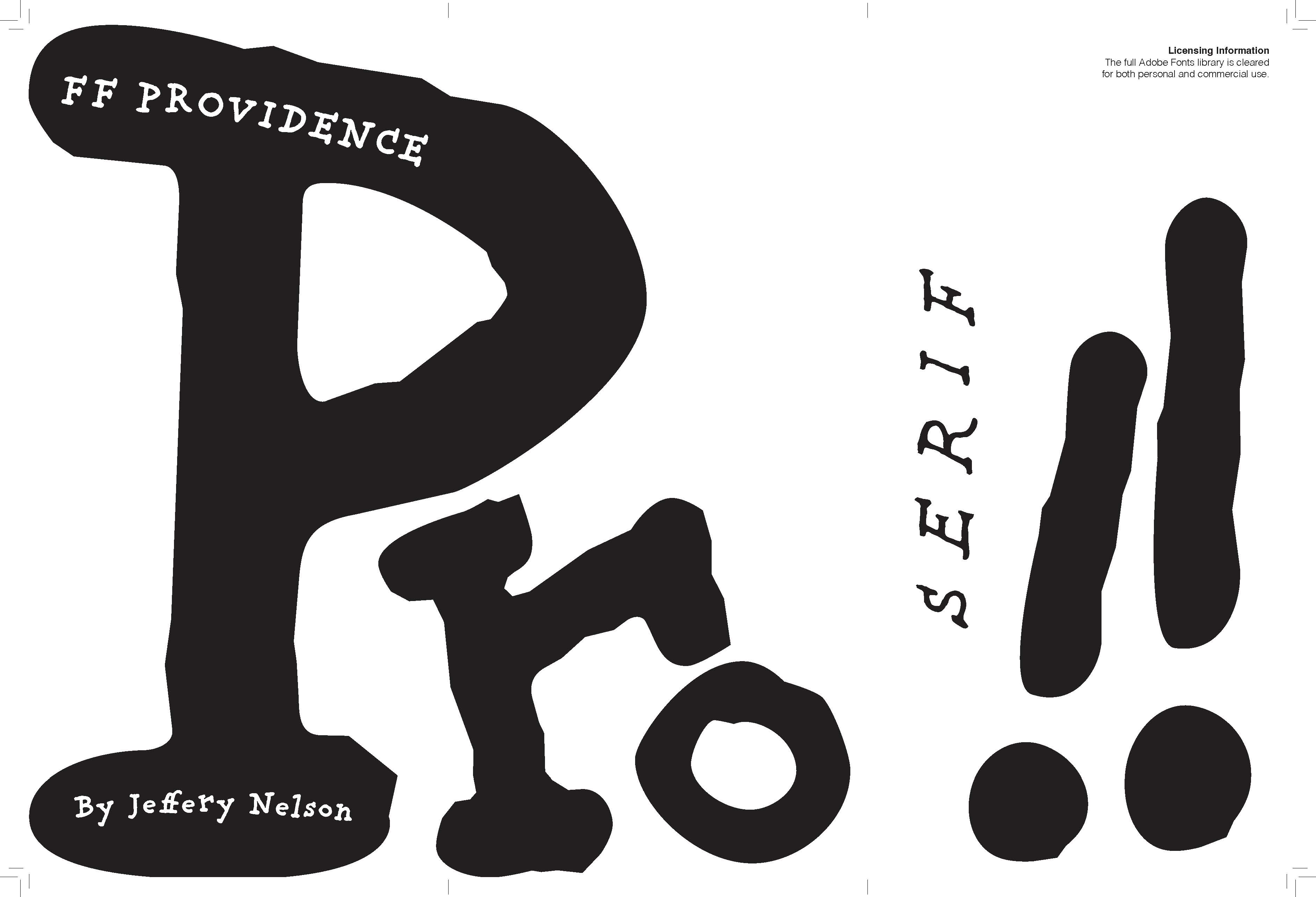 FF Providence Campaign